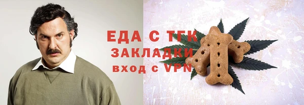 гашик Новозыбков