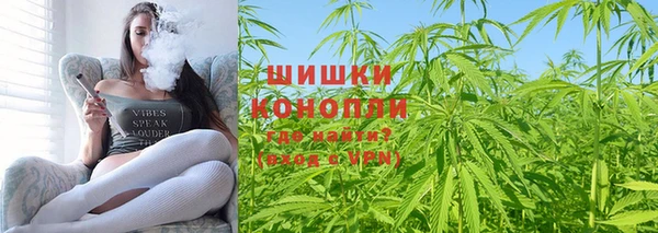 гашик Новозыбков