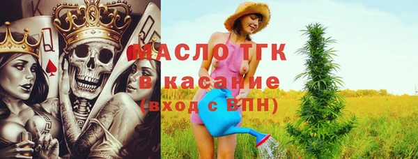 индика Нея