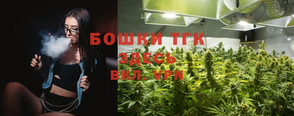гашик Новозыбков