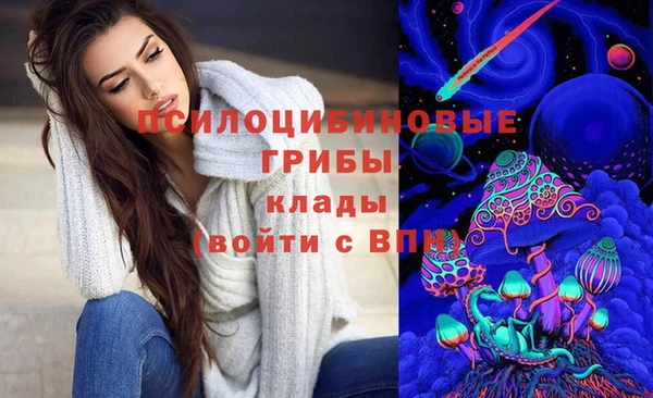 гашик Новозыбков